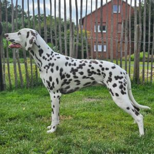 photo_2025-04-23 17.35.45